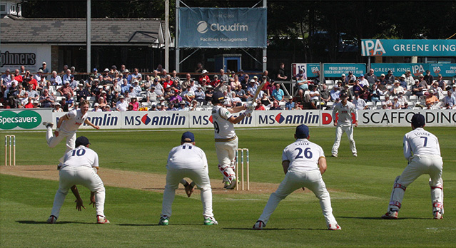 cricket fielders